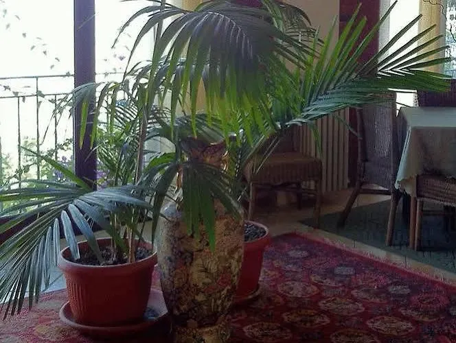 圣乔瓦尼酒店别墅 2* 埃里切